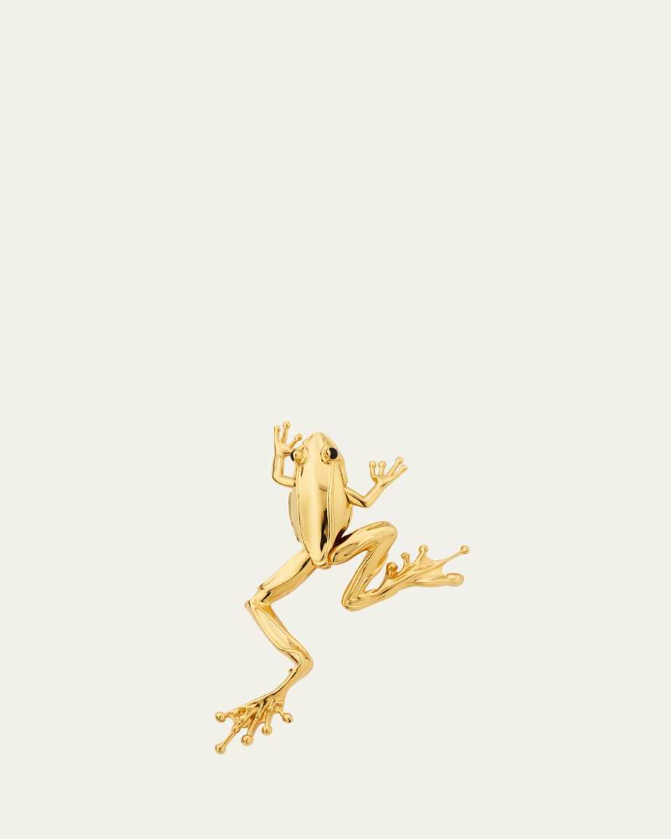 Rana Small Frog Brooch